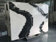PANDA WHITE-2