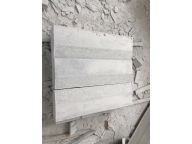 LLS-1